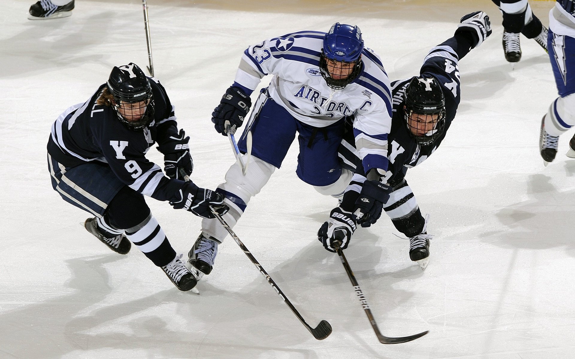 澳大利亚袋鼠队：如何利用球员的综合能力打破对手防线，袋鼠澳大利亚度百科
